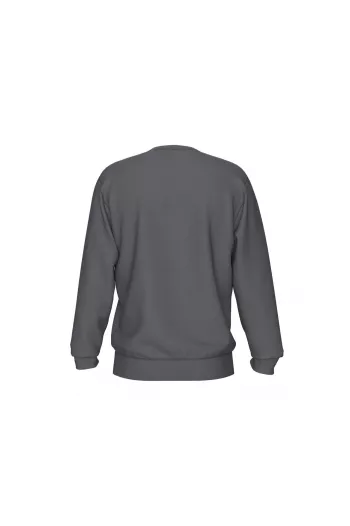 Світшот Arena CREW SWEAT VINTAGE