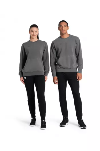 Світшот Arena CREW SWEAT VINTAGE