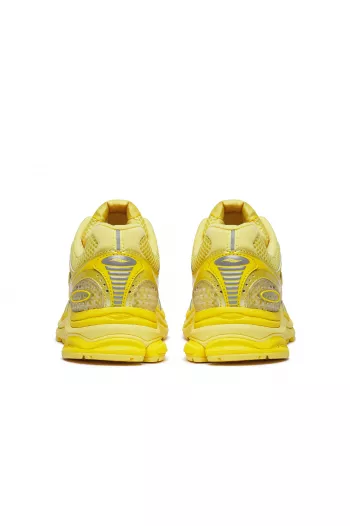 Жіночі кросівки Saucony ProGrid Triumph 4